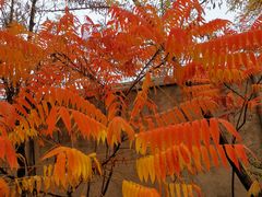 -静之湖湖畔餐厅