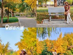 -石家庄市植物园