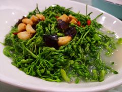 上汤夜香花-粤西稻里(富力路店)