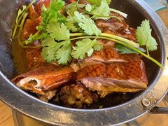 鹅肉-农厨好味·温泉鹅·农家菜