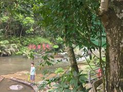 -千泷沟大瀑布旅游区