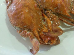 android_upload_pic-科尔海悦酒店·柏顿花园餐厅(清河东路店)