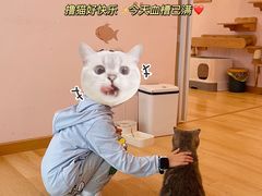 -猫咪派对(江南西店)