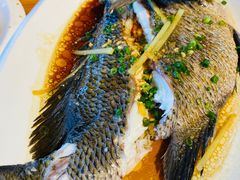 -蓝湾碧波·老字号·疍家非遗海上餐厅