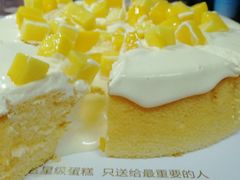 -熊猫不走蛋糕（同城送）(长沙店)