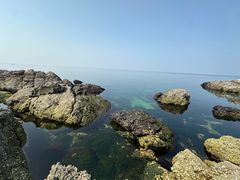 -养马岛旅游度假区