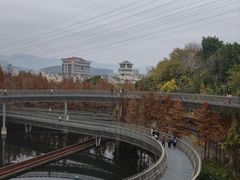 -福道