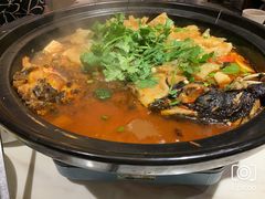 红烧至尊鱼头煲-品大伍·食之道品伍味(汪海店)