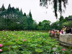 -黄兴公园
