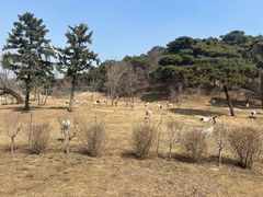-沈阳森林动物园