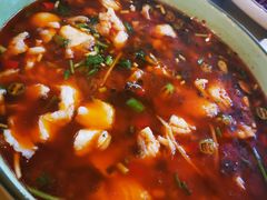 -胖大姐黄辣丁鱼庄(新津店)