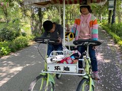 -鹅湖玫瑰文化园