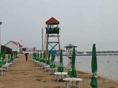 -碧海金沙