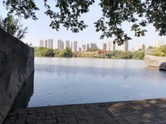 -青枫公园