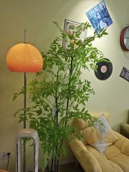 -变美丽半永久纹眉连锁·机器野生眉•洗眉