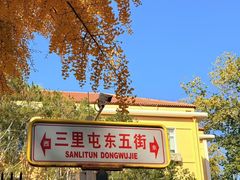 -三里屯东五街银杏大道
