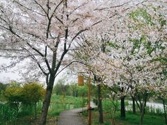 -梁鸿国家湿地公园