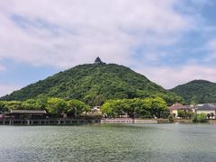-黄贤森林公园