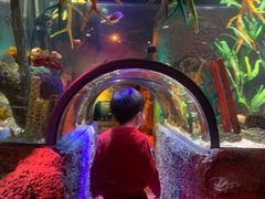 -沈阳海洋探索中心