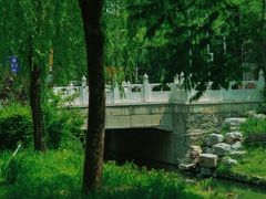 -北坞公园