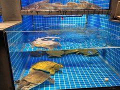 -大鹏饭店·金陵家宴(奥体中心店)