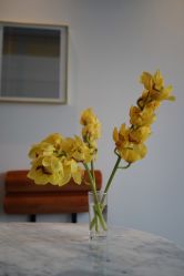 -喜喜月子(瑞虹天地店)