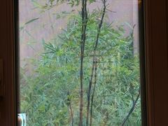 -福来齐·鲁菜海鲜·渔家菜(朝阳街分店)