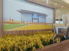 -长洲岛