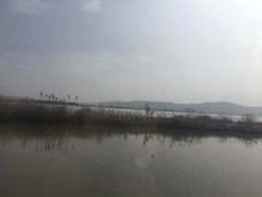 -漩门湾国家湿地公园