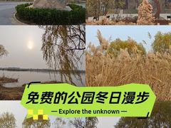 -绿堤公园