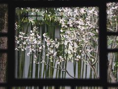 -沧浪亭