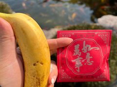 -下海庙