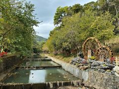 -广州白江湖森林公园