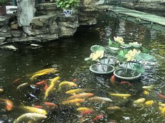 -白家大院·王府宫廷菜(苏州街店)