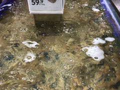 -盒马鲜生(财富中心店)
