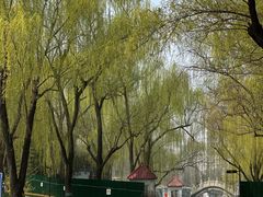 -皇家御河游(紫御湾码头)