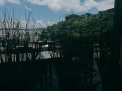 -卡普里披萨·牛扒·下午茶