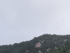 -龙口南山旅游景区