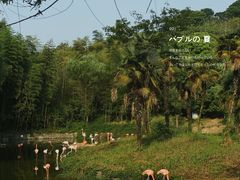 -杭州野生动物世界