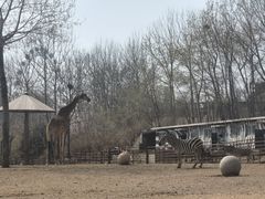 -大连森林动物园