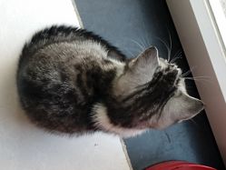 -卡卡喜糖伴手礼·商务礼宝宝礼·婚礼用品