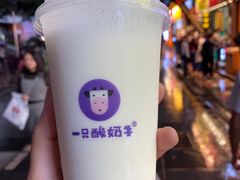 -一只酸奶牛(八一路店)