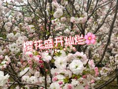 -盈香心动乐园