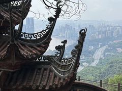 -南山植物园