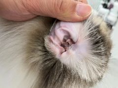 -comecome来吧宠物(奥克斯中心店)