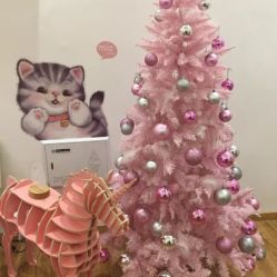 -Lab Season惜辰颜究社