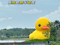 -深圳人才公园