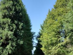 -山王坪喀斯特国家生态公园