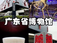 -广东省博物馆