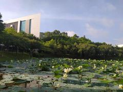 -华南师范大学(广州大学城校区)